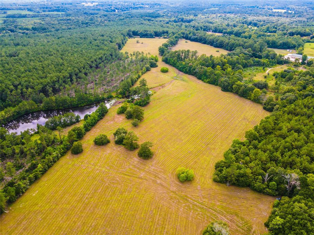 Houston Real Estate, Houston Homes, Houston Realtors Hunter Real